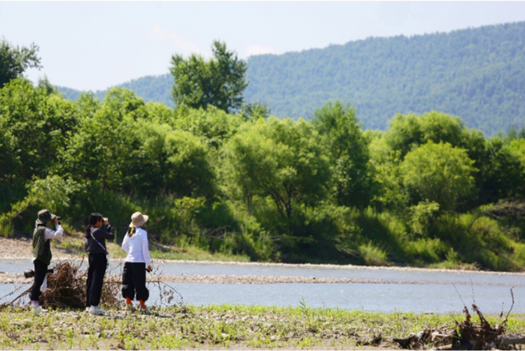 让科学教育“自然”发生