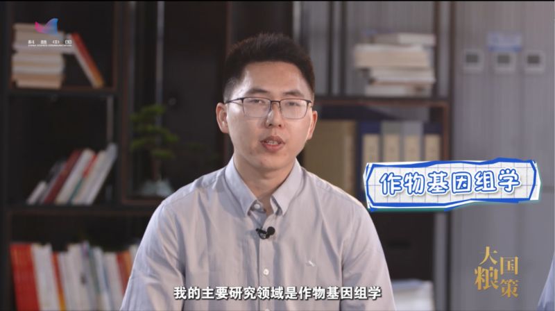 【大国粮策】育种界的“黄金矿工”，挖到了哪些“基因宝藏”？