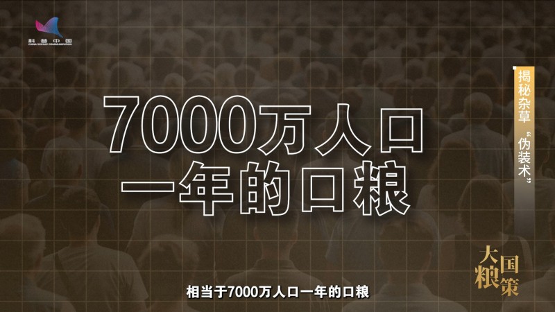 【大国粮策】破解杂草伪装术 培养作物“特种兵”