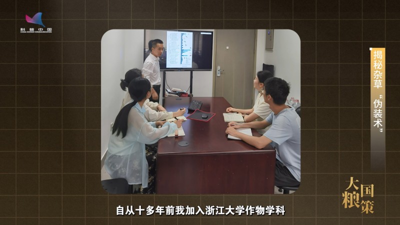 【大国粮策】破解杂草伪装术 培养作物“特种兵”