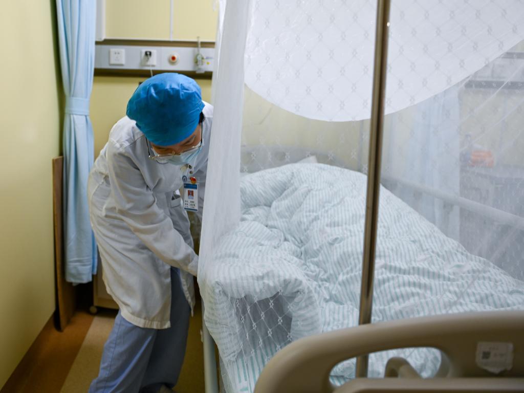 关于基孔肯雅热:会人传人吗?和登革热有何不同?如何防?