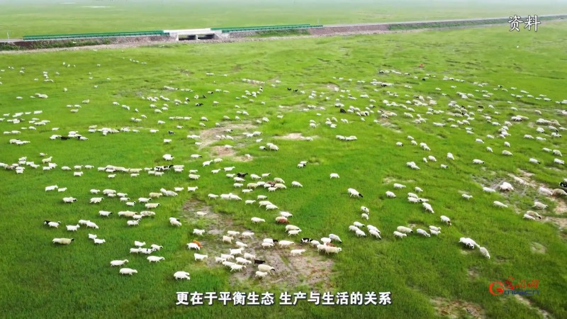 生态、生产、生活同频共振：科技如何让草原既绿又富？