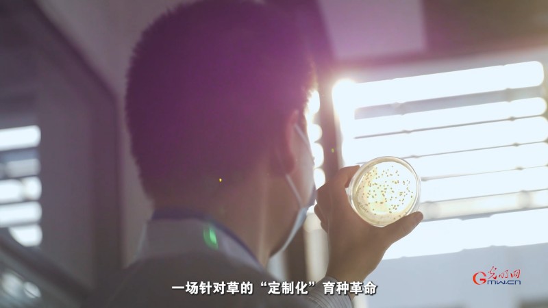 生态、生产、生活同频共振：科技如何让草原既绿又富？