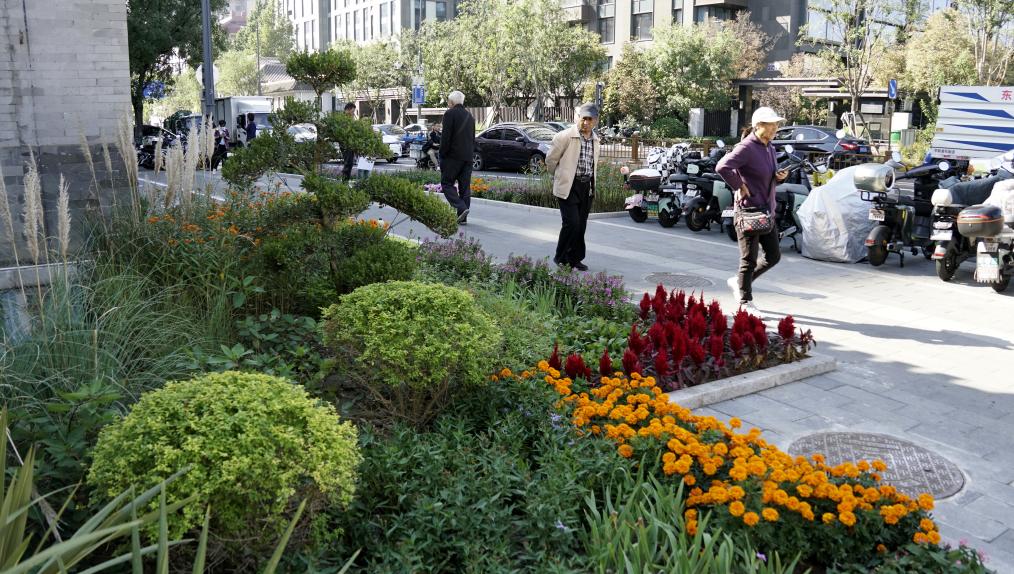 关于基孔肯雅热 你所需要了解的知识点基本都在这里！