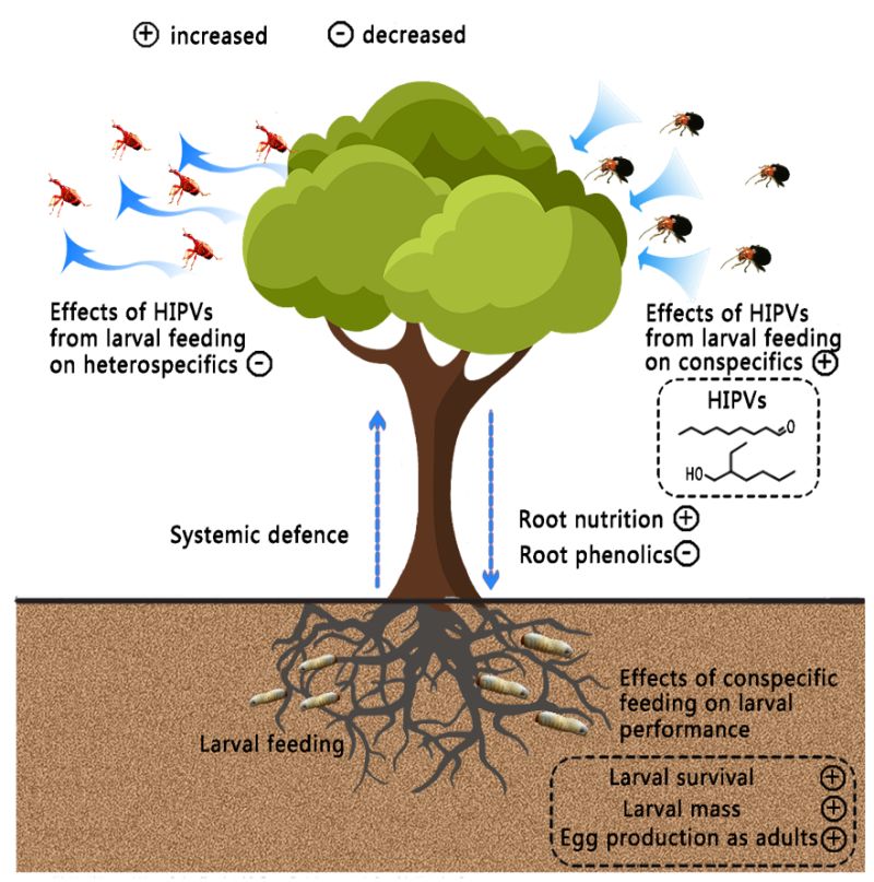 【大国粮策】植物的“化学语言”：挥发物的奥秘与应用
