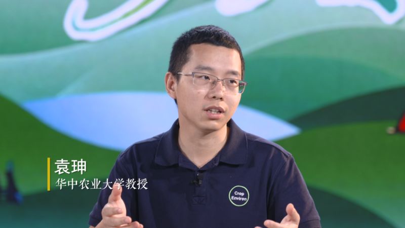 【大国粮策】短视频里的农业科技“秀”，从屏幕走向田间地头