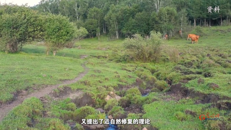 种草不简单！南志标院士谈草地修复、再生与创新之道