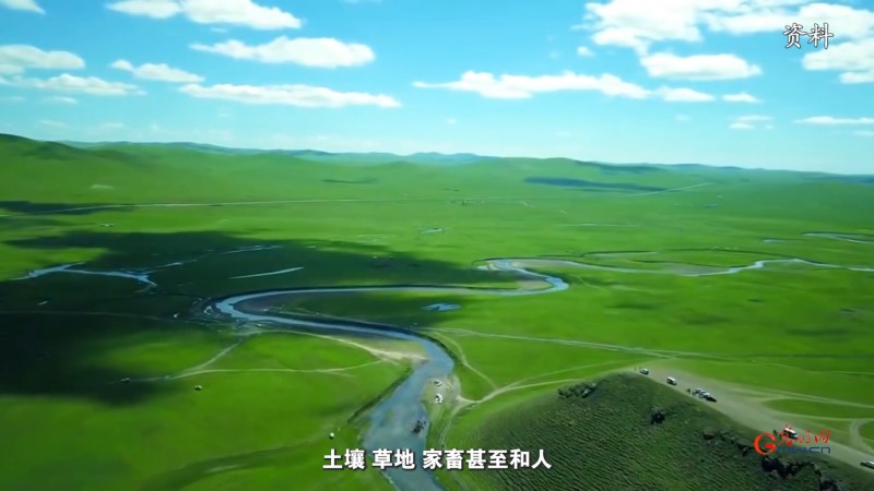 种草不简单！南志标院士谈草地修复、再生与创新之道