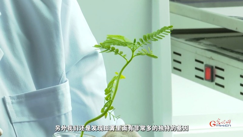 “种适其地，地育其种”：草业科技让盐碱地与牧草共赴新生