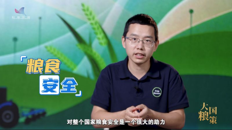 【大国粮策】一种两收！解码再生稻的“增产密码”