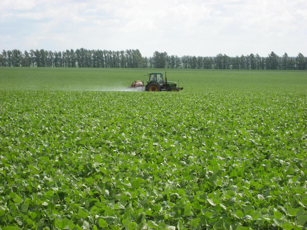 【大国粮策】小豆子里的大科技：5万份“基因宝藏”撬动食用豆育种革命