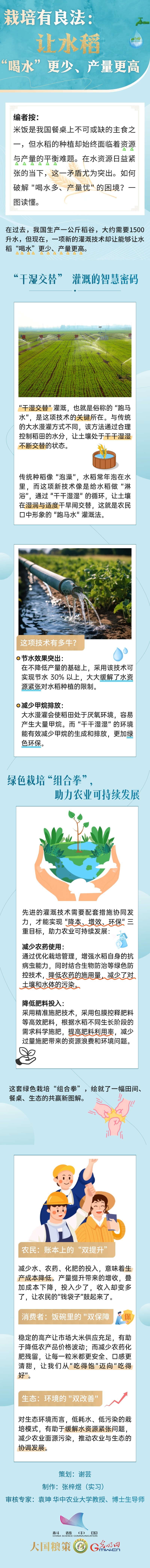 【大国粮策】栽培有良法：让水稻“喝水”更少、产量更高