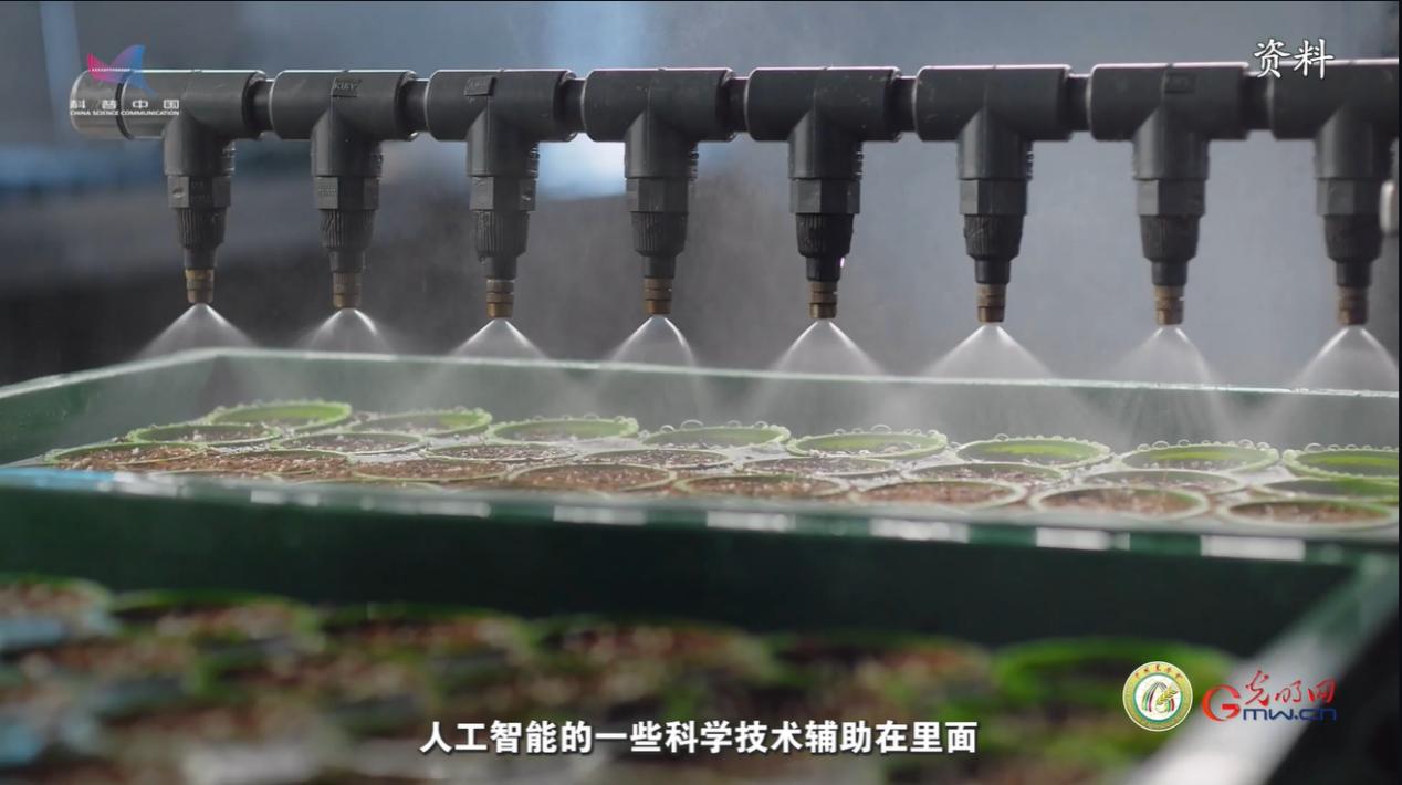 【大国粮策】不止种地！农学专业玩转农业“新赛道”