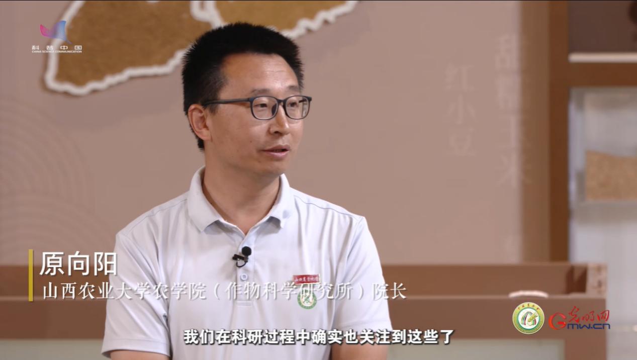 【大国粮策】从人工劳作到机械赋能，看谷子如何一路闯关升级？