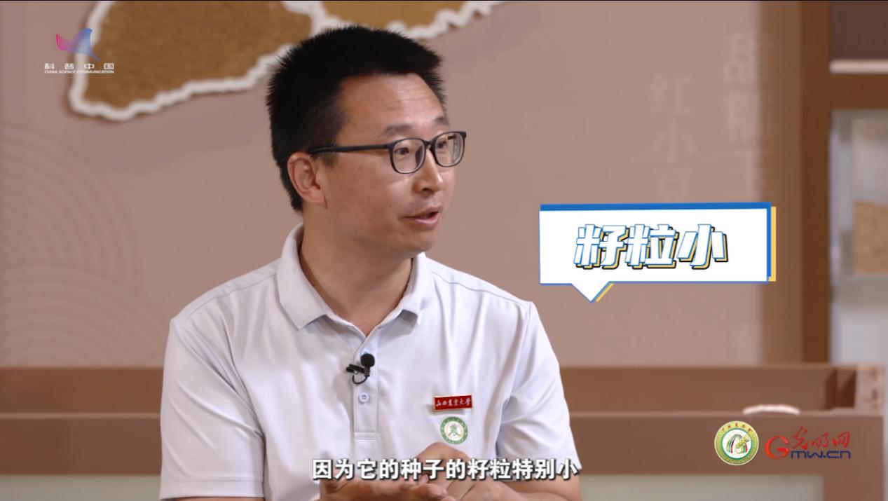 【大国粮策】从人工劳作到机械赋能，看谷子如何一路闯关升级？