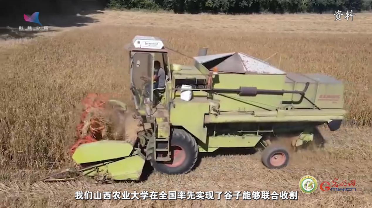 【大国粮策】从人工劳作到机械赋能，看谷子如何一路闯关升级？