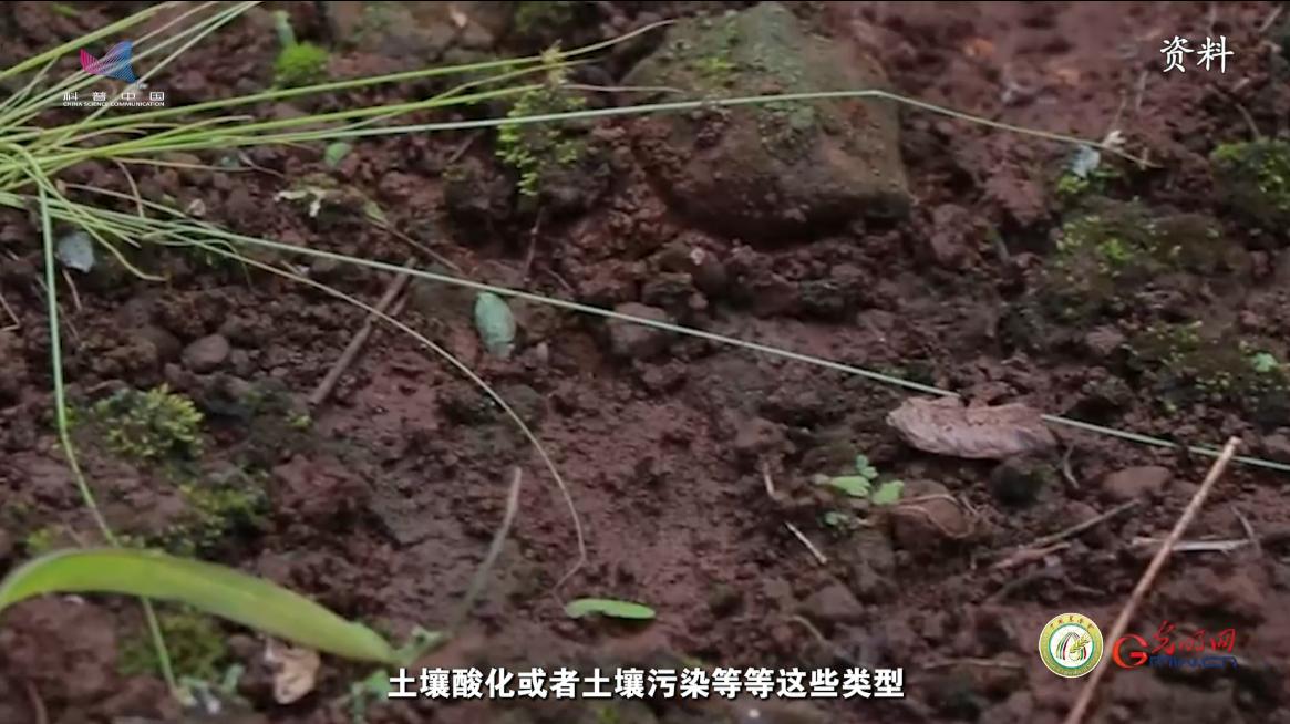 【大国粮策】土壤“生病”怎么办？这样治，食品更安全！