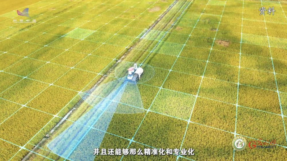 【大国粮策】知农、爱农、兴农，这个学科培养“复合”新农人