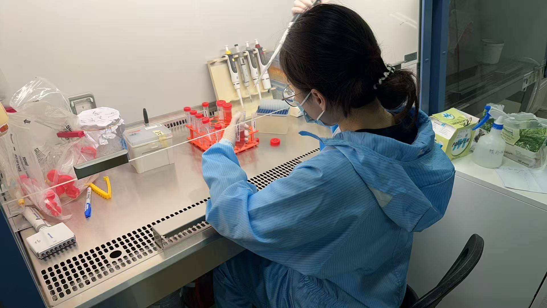 【大国粮策】喝凉水都长胖？减肥的秘密，竟然藏在肠道里