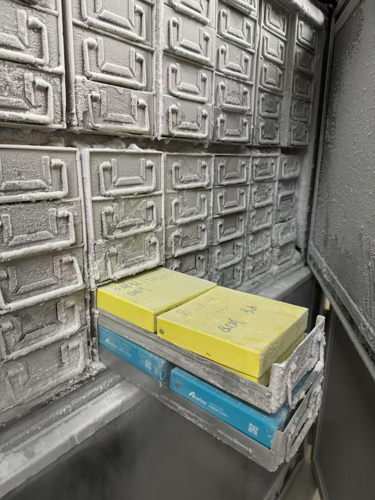 【大国粮策】喝凉水都长胖？减肥的秘密，竟然藏在肠道里