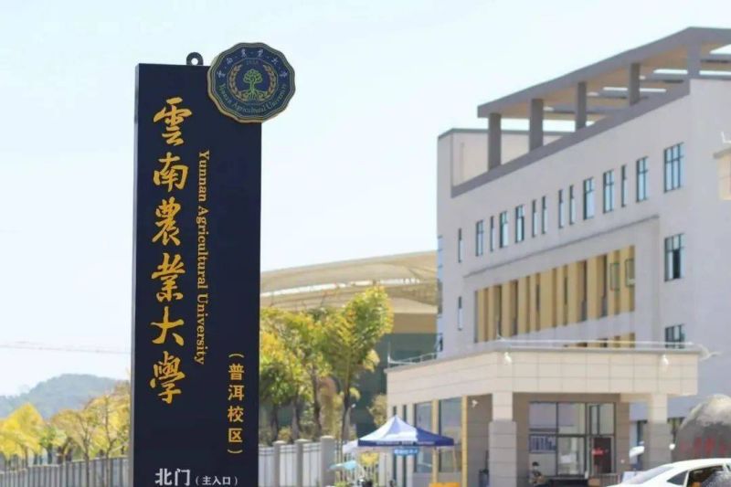 【大国粮策】这个“网红专业”有多香?探秘全国首个咖啡科学与工程专业 【大国粮策】这个“网红专业”有多香?探秘全国首个咖啡科学与工程专业
