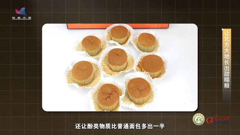 【大国粮策】育种人心中最好的品种，永远在下一个春天