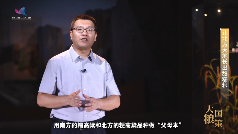 【大国粮策】育种人心中最好的品种，永远在下一个春天