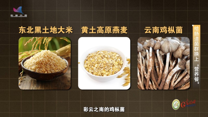 【大国粮策】从餐桌到肠道 藏着慢性病治疗的“中国方案”
