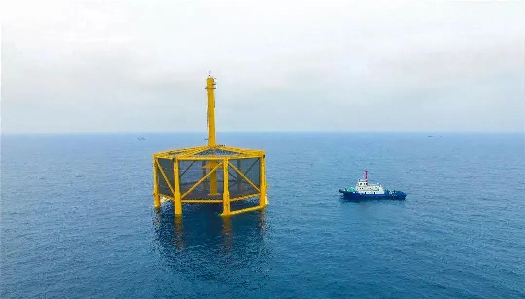 【大国粮策】养鱼也有“双主场”？“陆海接力”技术解锁海鲜养殖新姿势