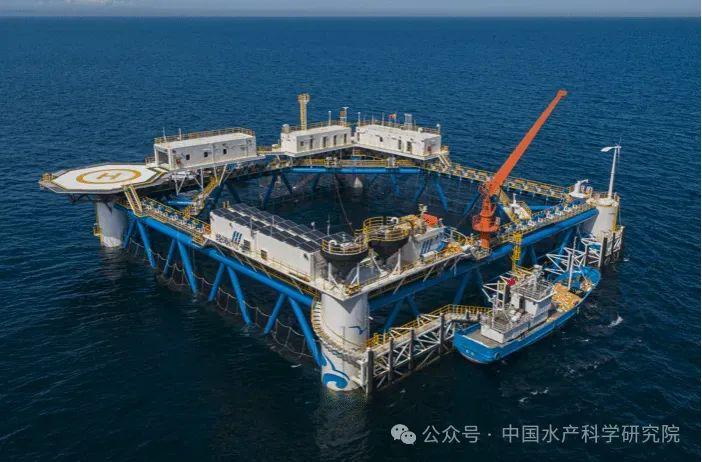 【大国粮策】养鱼也有“双主场”？“陆海接力”技术解锁海鲜养殖新姿势