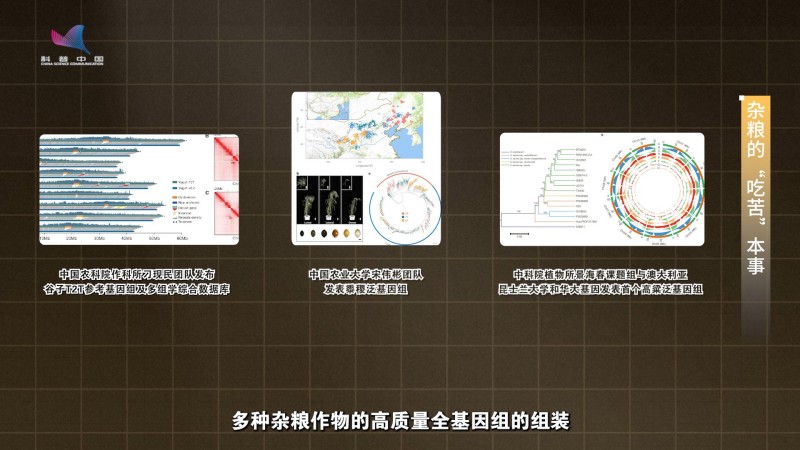 【大国粮策】农耕文明的“老伙计”，藏着粮食安全的底气