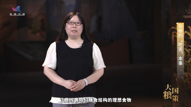 【大国粮策】农耕文明的“老伙计”，藏着粮食安全的底气