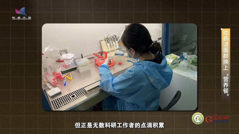 【大国粮策】从餐桌到肠道 藏着慢性病治疗的“中国方案”