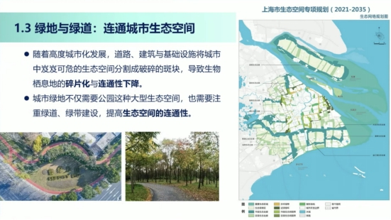 科普慕课｜解读鸟语花香背后的生态密码