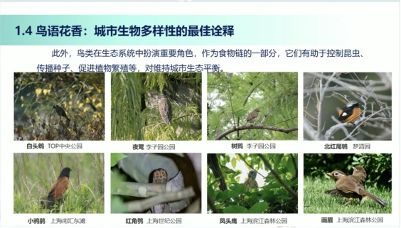 科普慕课｜解读鸟语花香背后的生态密码