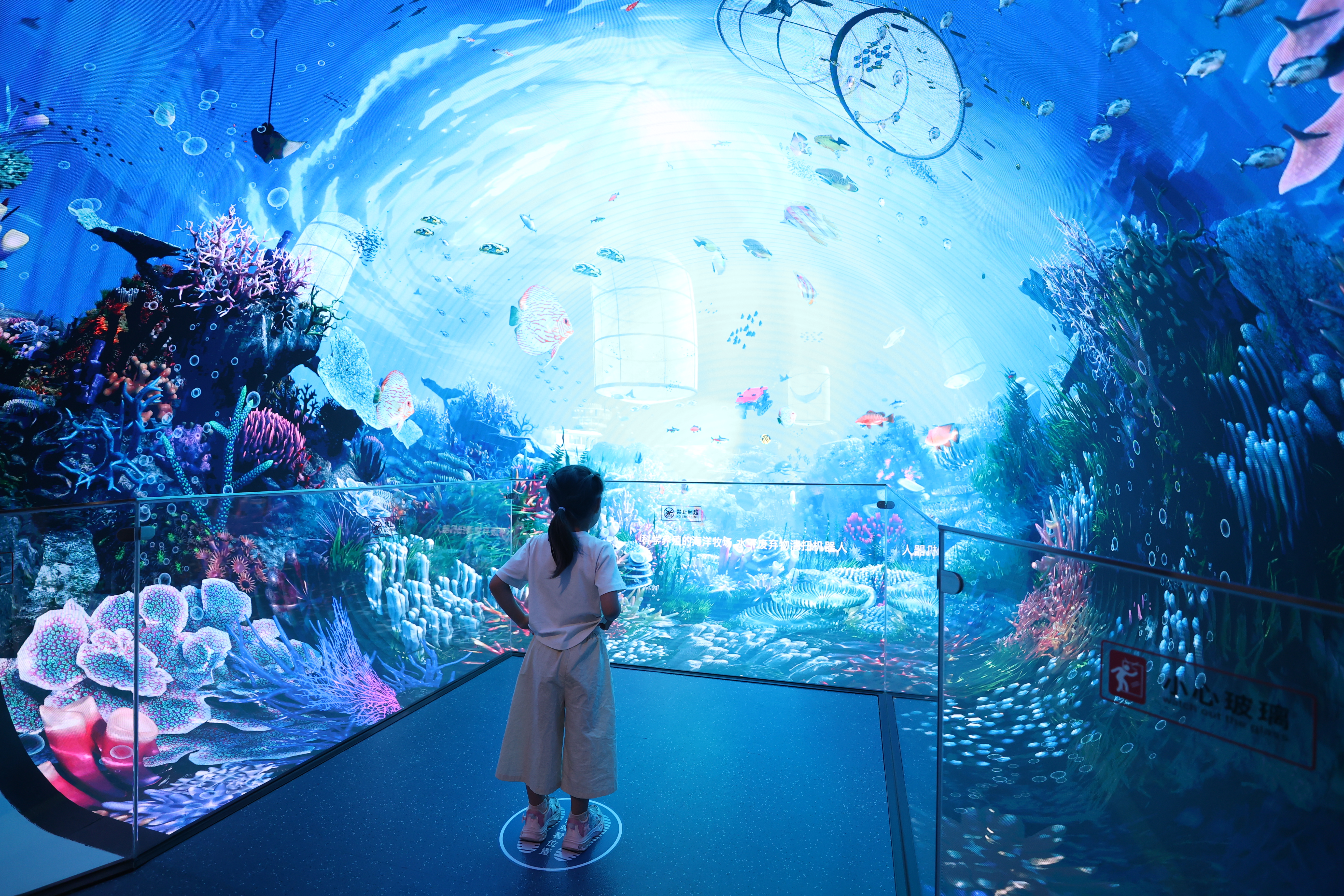 中国科技馆海洋展厅焕新亮相：以科技叙事解锁“人海和鸣”新体验