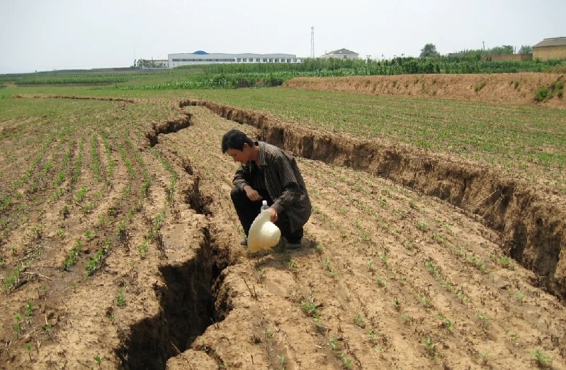 星辰闪耀时 | “为岩石立小传”:在科普的土壤中深耕地质情怀 星辰闪耀时 | “为岩石立小传”:在科普的土壤中深耕地质情怀