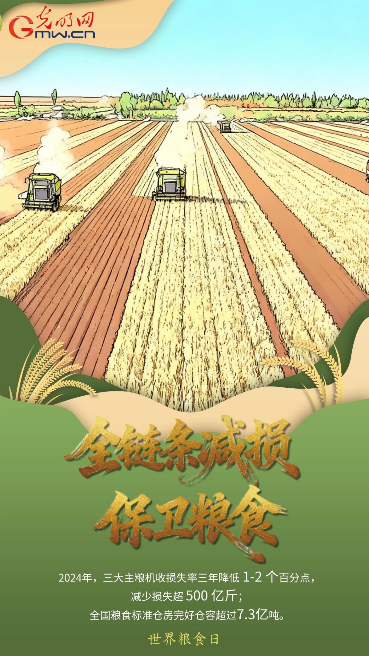 世界粮食日｜从“粮”到 “食”，一组海报看中国粮安答卷