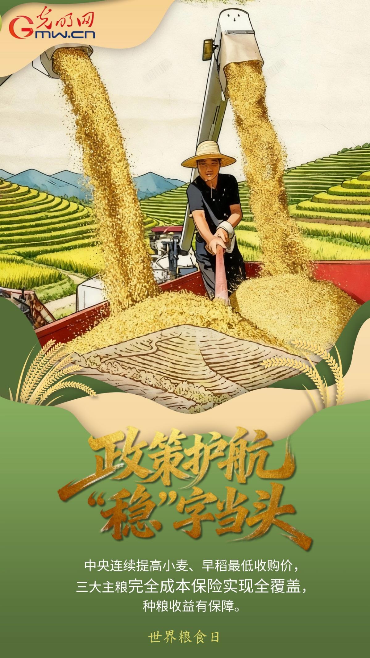世界粮食日｜从“粮”到 “食”，一组海报看中国粮安答卷