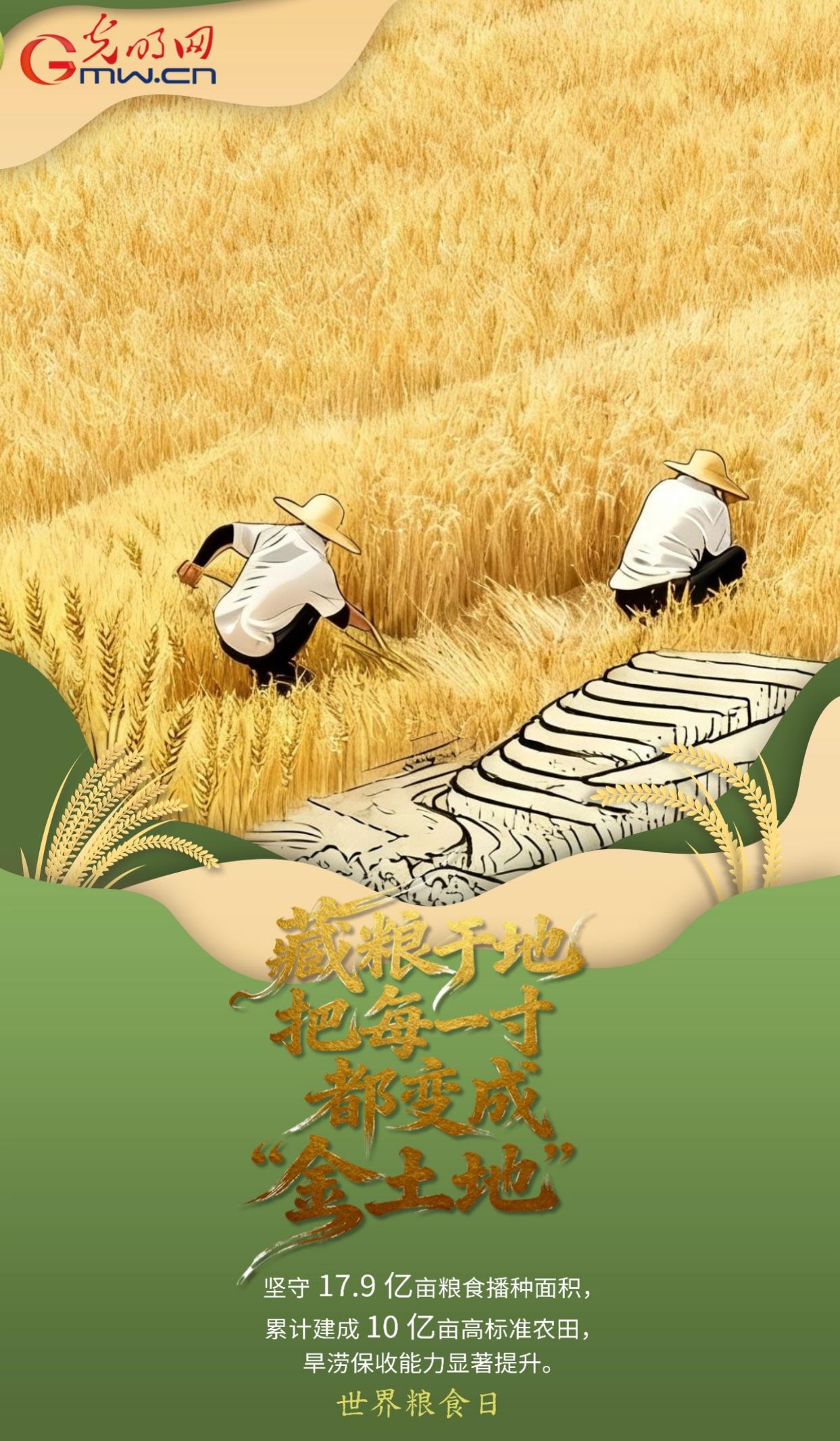 世界粮食日｜从“粮”到 “食”，一组海报看中国粮安答卷