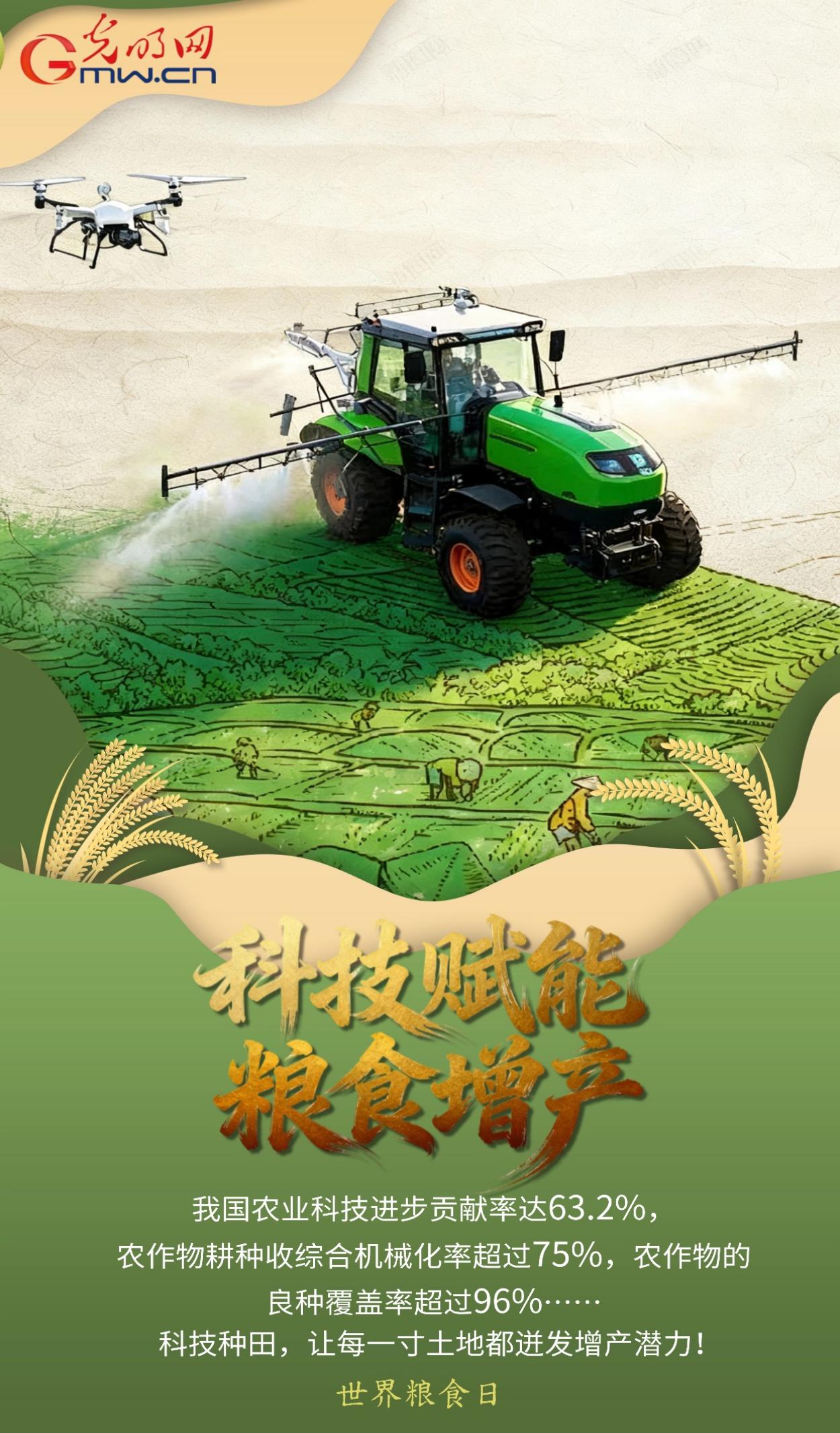 世界粮食日｜从“粮”到 “食”，一组海报看中国粮安答卷