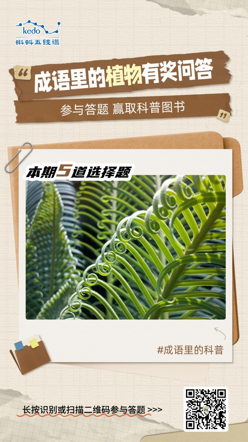 生机入语,草木皆知——蝌蚪五线谱带你读懂成语里的植物科学 生机入语,草木皆知——蝌蚪五线谱带你读懂成语里的植物科学