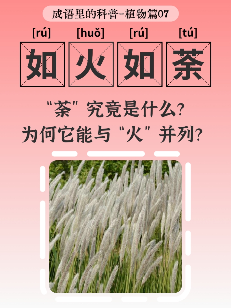 生机入语,草木皆知——蝌蚪五线谱带你读懂成语里的植物科学 生机入语,草木皆知——蝌蚪五线谱带你读懂成语里的植物科学