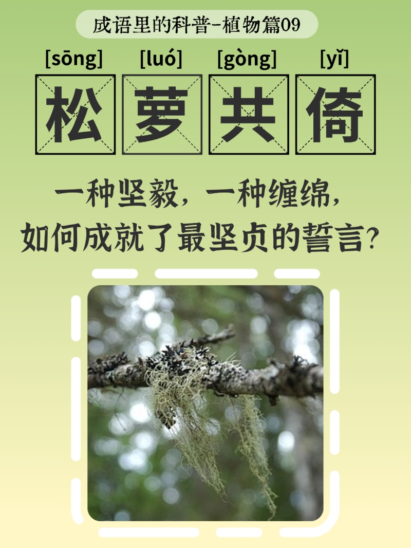 生机入语,草木皆知——蝌蚪五线谱带你读懂成语里的植物科学 生机入语,草木皆知——蝌蚪五线谱带你读懂成语里的植物科学