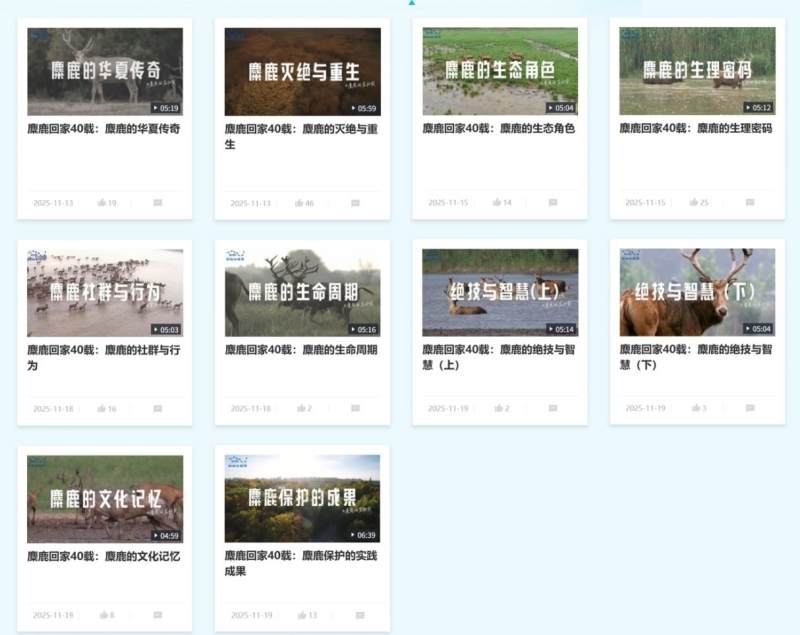 共赴四十年生命之约 蝌蚪五线谱全媒体矩阵推出麋鹿回归科普盛典