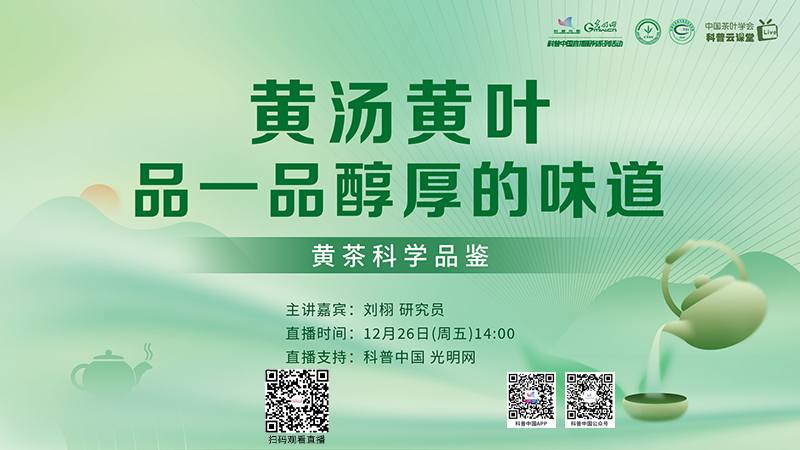 科普中国直播预告｜黄汤黄叶藏真味！黄茶科学品鉴开课啦！