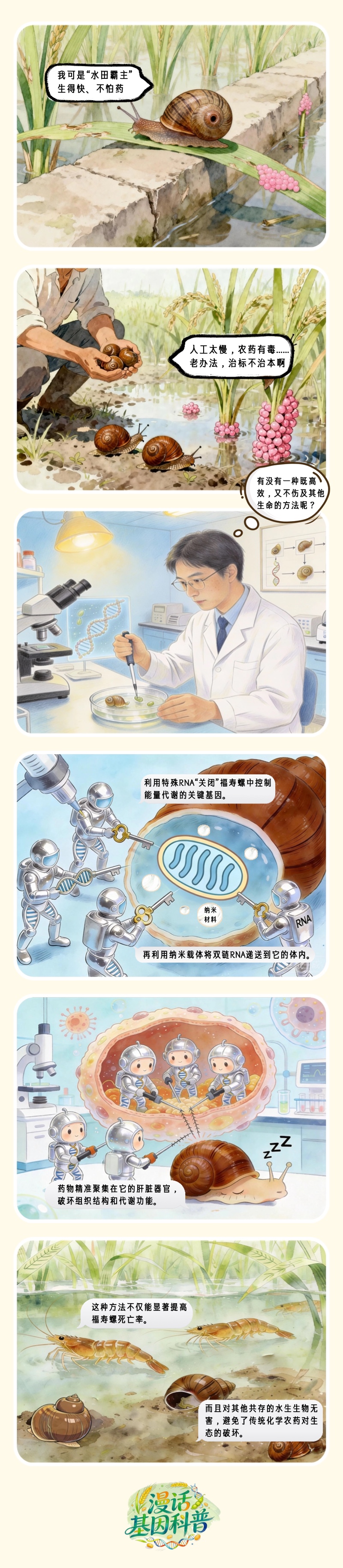 漫话基因科普丨科学家给福寿螺开了份“基因处方” 漫话基因科普丨科学家给福寿螺开了份“基因处方”