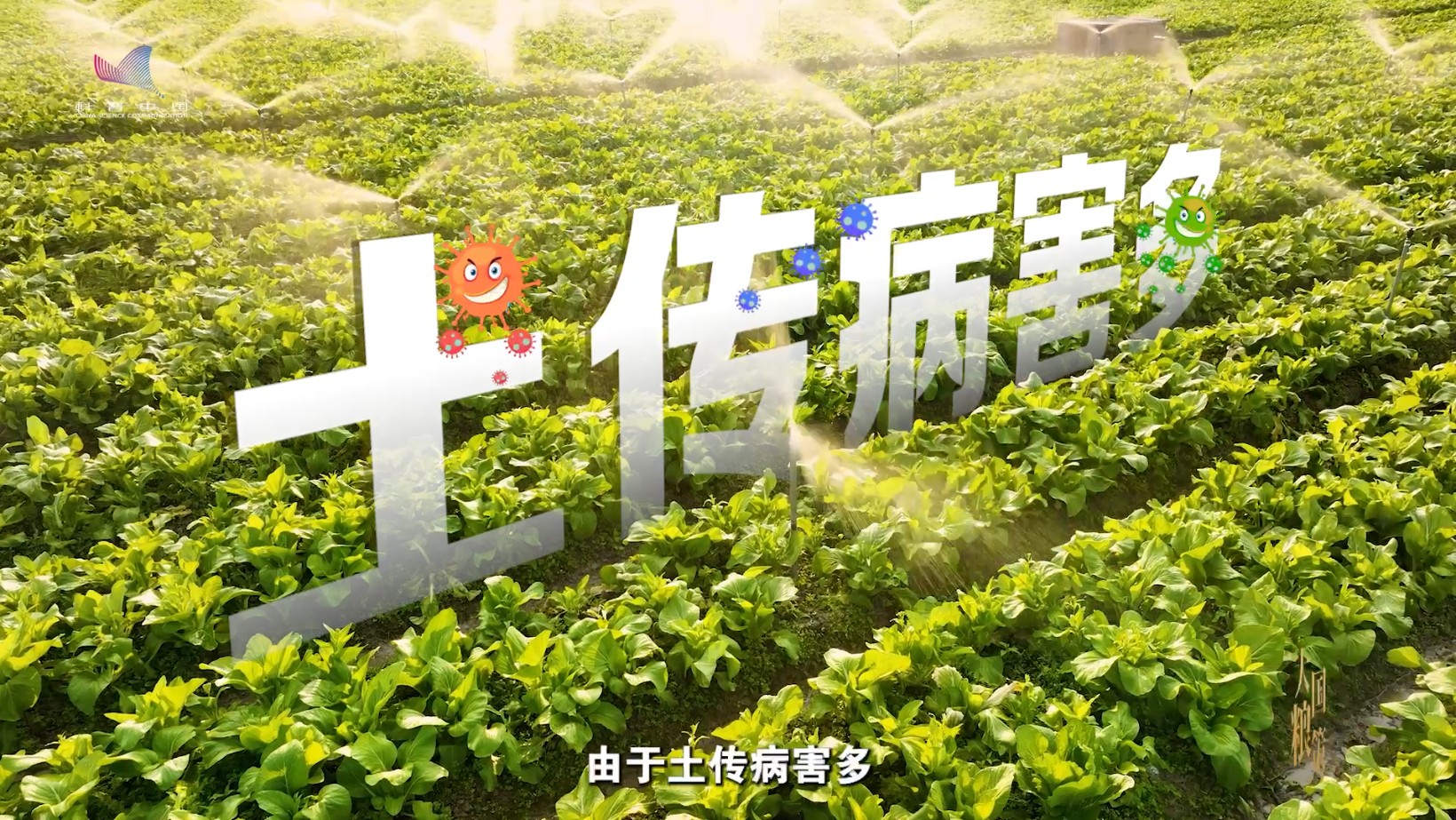 把菌剂工厂搬到田头，这项黑科技让土壤“满血复活”
