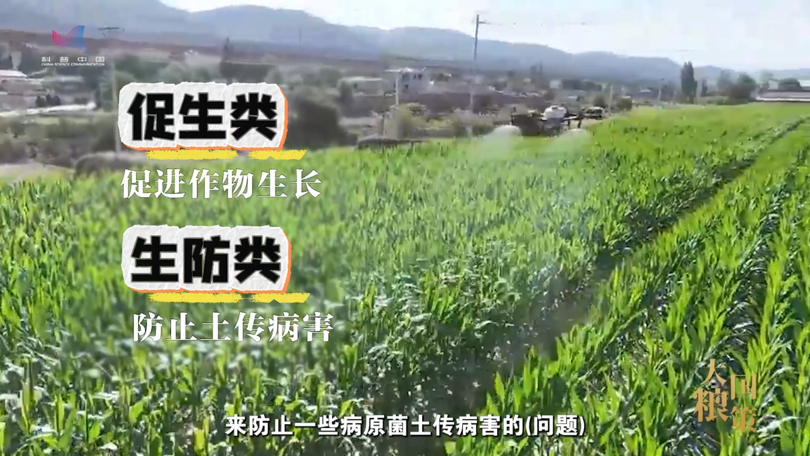 把菌剂工厂搬到田头，这项黑科技让土壤“满血复活”