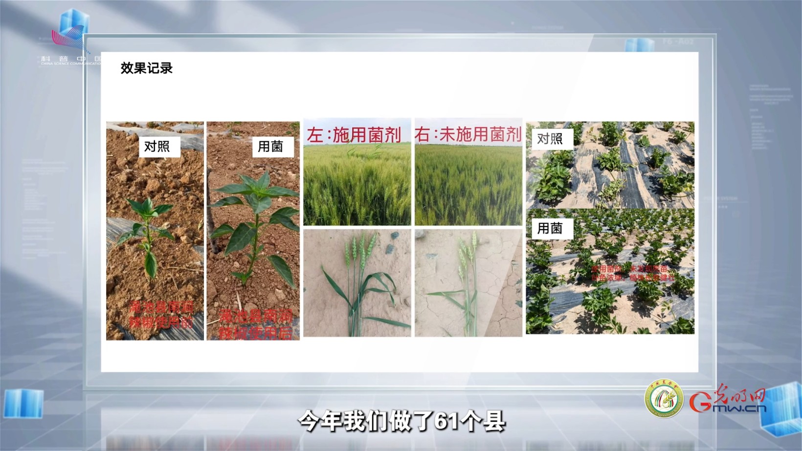 把菌剂工厂搬到田头，这项黑科技让土壤“满血复活”